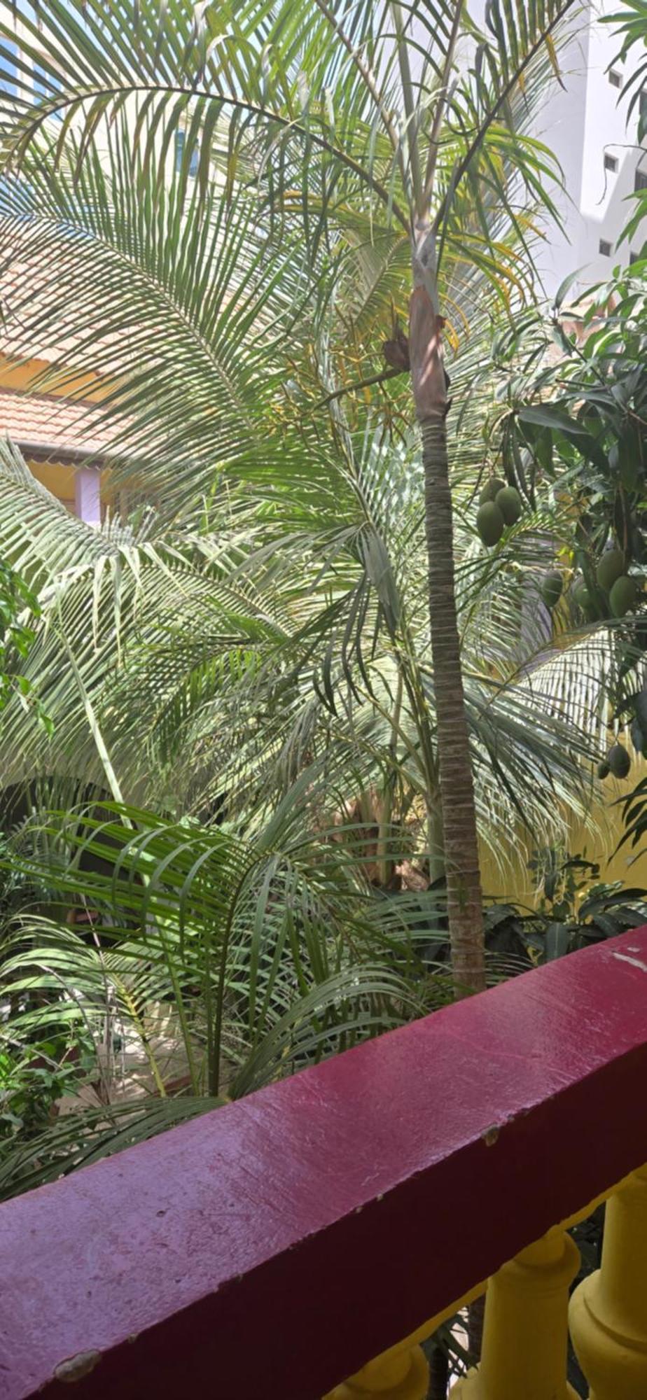 Hotel Saint-Louis Sun Dakar Kültér fotó